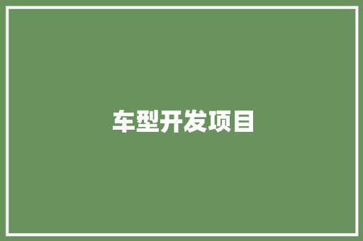 车型开发项目