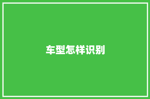车型怎样识别