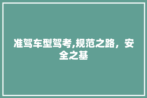 准驾车型驾考,规范之路，安全之基