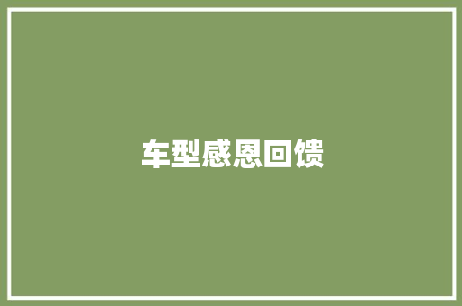 车型感恩回馈