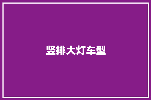 竖排大灯车型