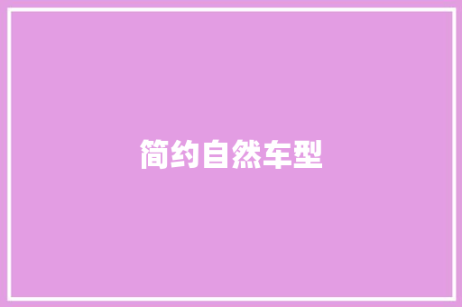 简约自然车型