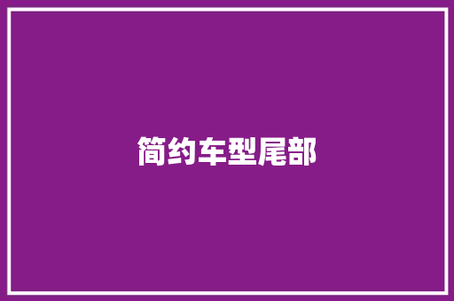 简约车型尾部