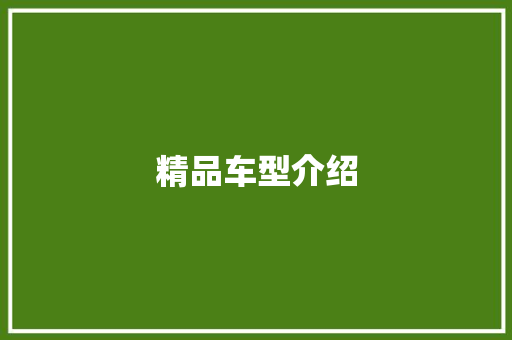 精品车型介绍 蓄电池配件