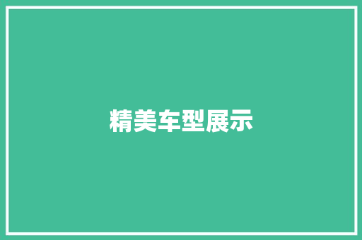 精美车型展示