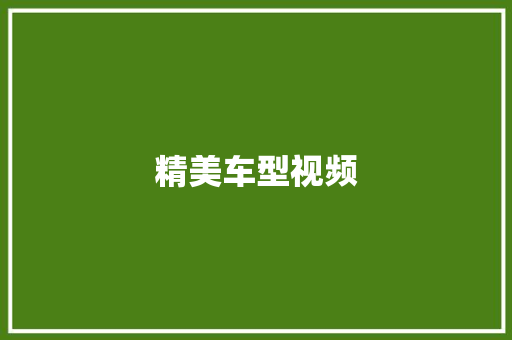 精美车型视频