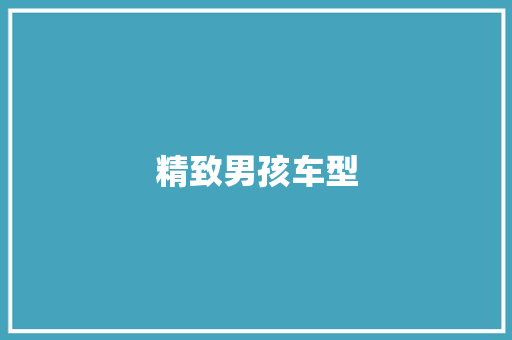 精致男孩车型