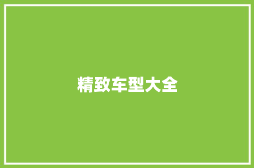 精致车型大全