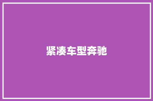 紧凑车型奔驰