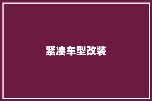 紧凑车型改装