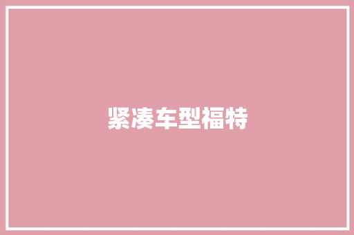 紧凑车型福特