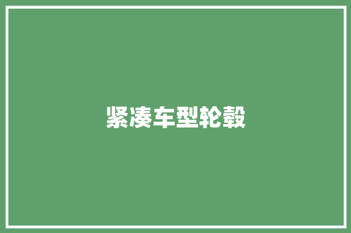 紧凑车型轮毂