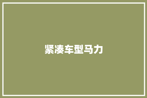 紧凑车型马力