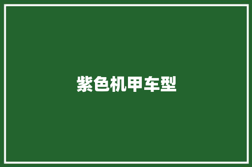 紫色机甲车型