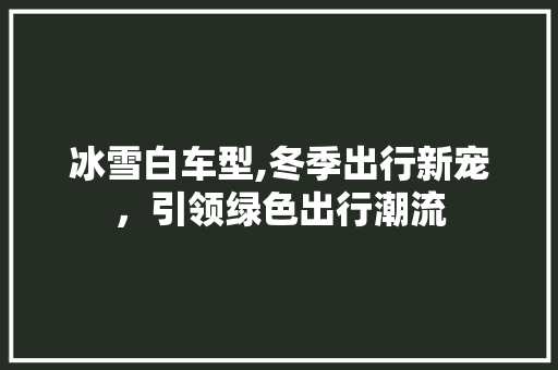 冰雪白车型,冬季出行新宠，引领绿色出行潮流