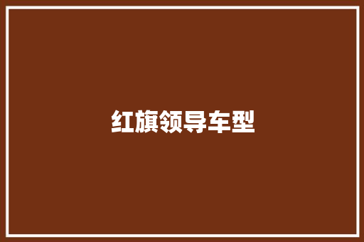 红旗领导车型