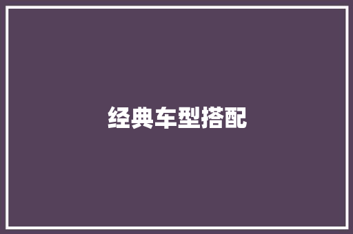 经典车型搭配