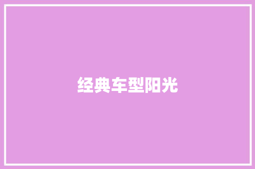 经典车型阳光