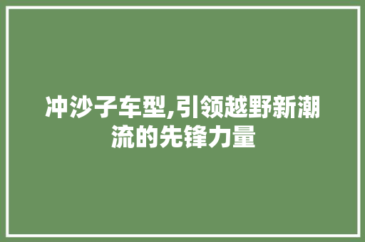 冲沙子车型,引领越野新潮流的先锋力量