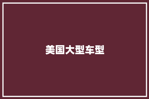 美国大型车型