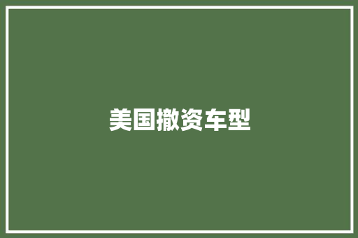 美国撤资车型