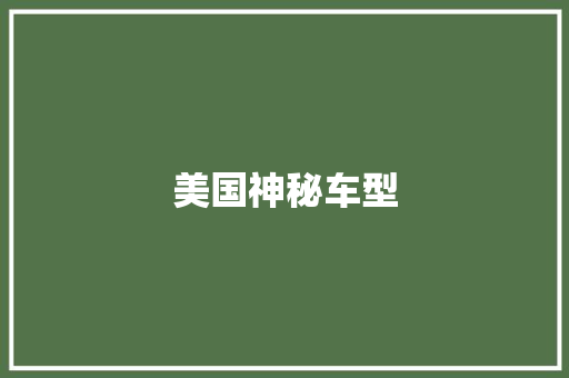 美国神秘车型