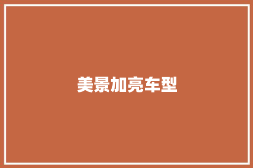 美景加亮车型