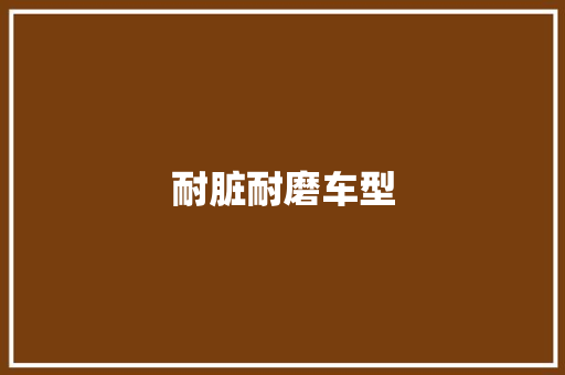 耐脏耐磨车型