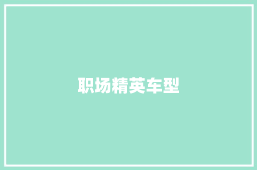 职场精英车型