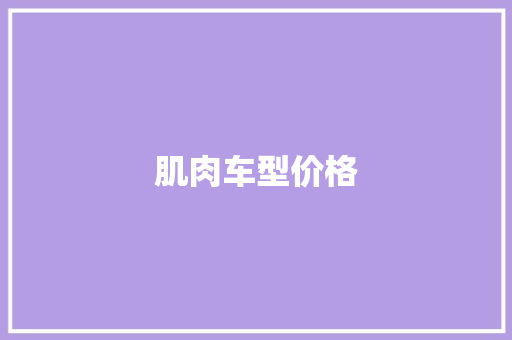 肌肉车型价格