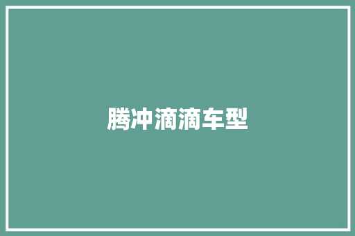腾冲滴滴车型