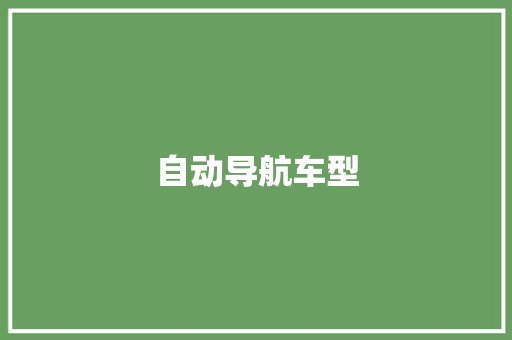 自动导航车型