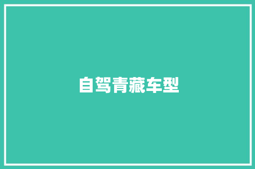 自驾青藏车型