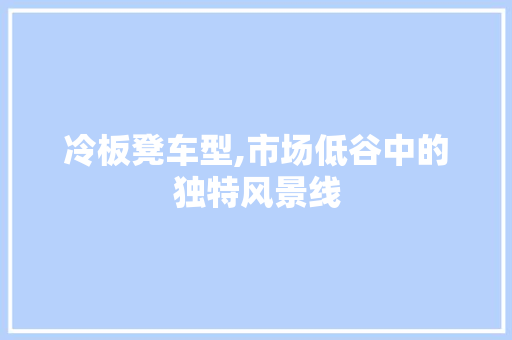 冷板凳车型,市场低谷中的独特风景线