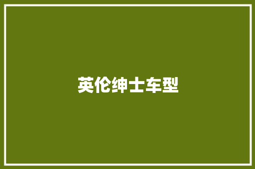 英伦绅士车型