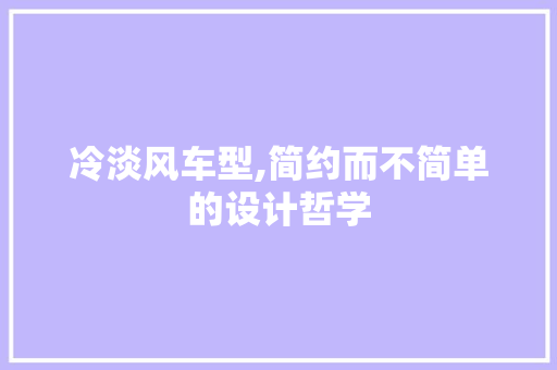 冷淡风车型,简约而不简单的设计哲学