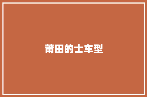 莆田的士车型