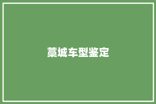 藁城车型鉴定