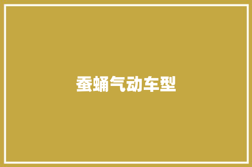 蚕蛹气动车型