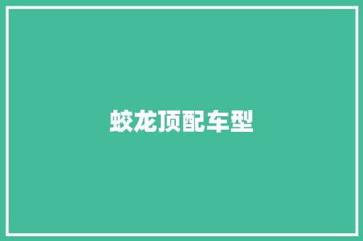 蛟龙顶配车型