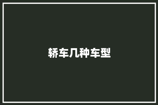 轿车几种车型