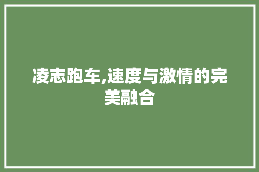 凌志跑车,速度与激情的完美融合