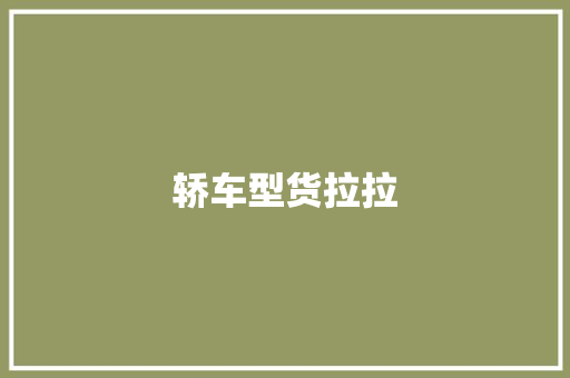轿车型货拉拉