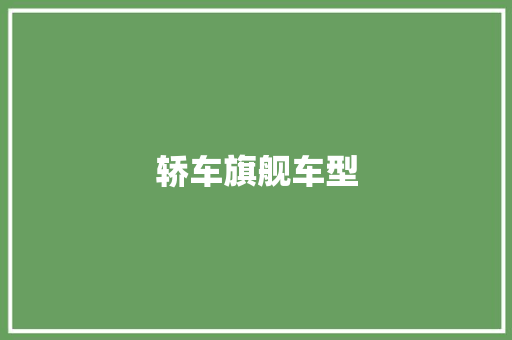 轿车旗舰车型