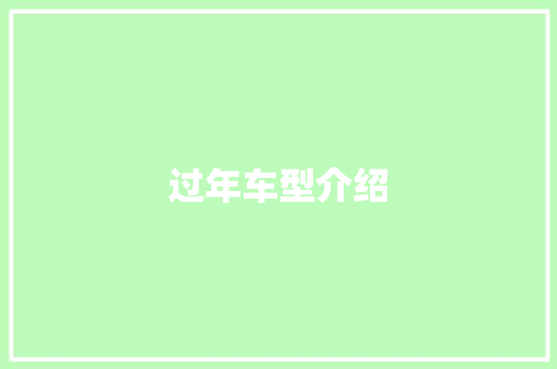 过年车型介绍