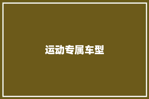 运动专属车型 底盘配件