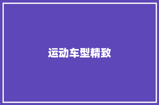 运动车型精致