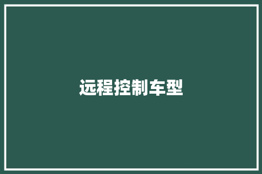 远程控制车型 新款车型