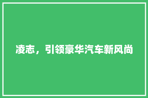 凌志，引领豪华汽车新风尚