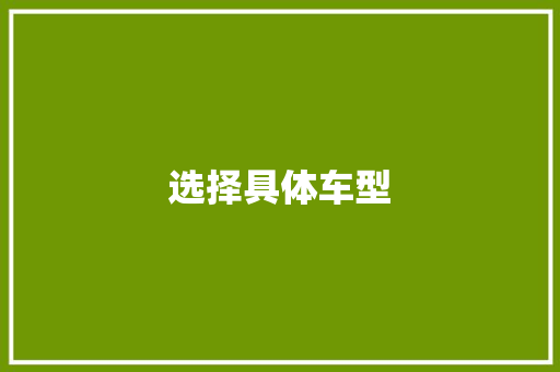 选择具体车型